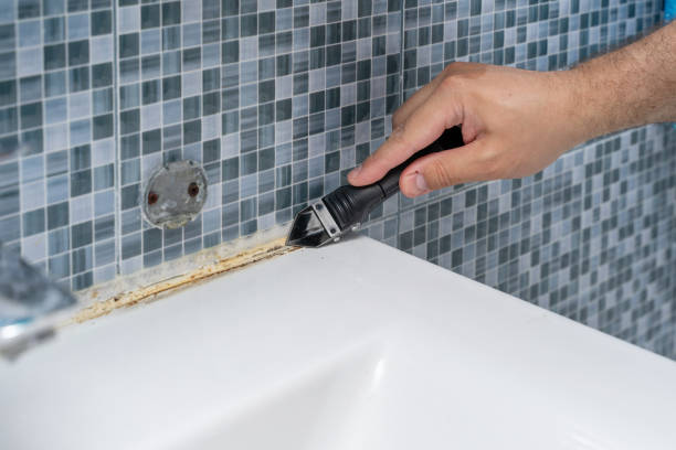 Best Health and Safety Mold Remediation in St Clair, MO